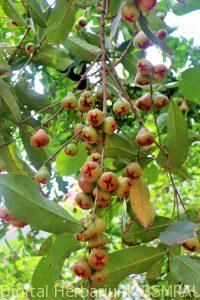 K1600_IMG_1148