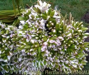 wp_20161028_15_24_23_pro