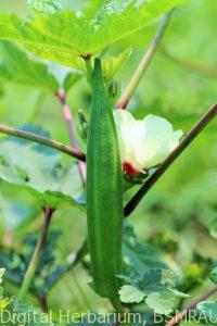 K1600_IMG_0306