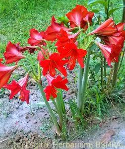 K1600_WP_20141005_04_56_43_Pro