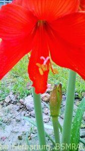 WP_20141005_04_57_16_Pro