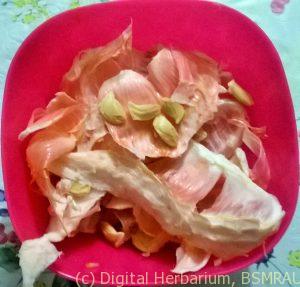 WP_20160808_18_36_29_Pro