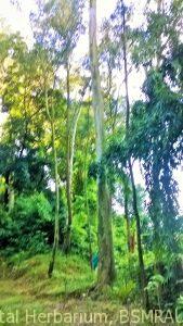 wp_20161013_16_26_25_pro