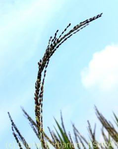 img_3904